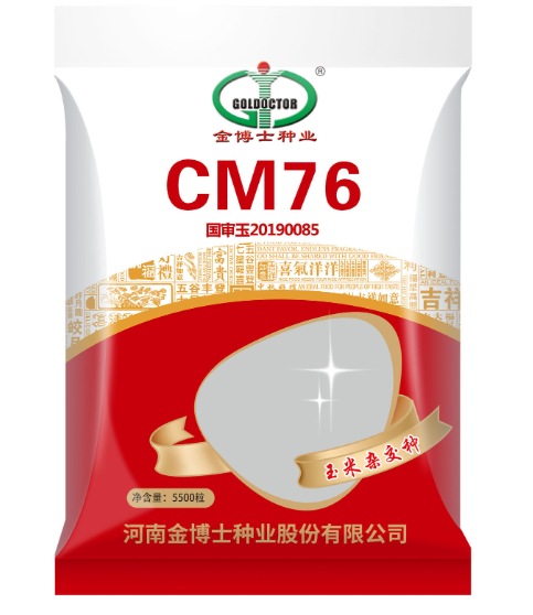 玉米种子 玉米种子