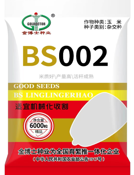 玉米种子公司 玉米种子公司